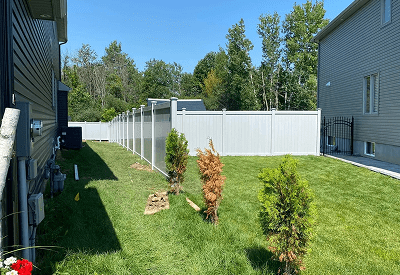 image-2 Backyard with fence and young shrubs.